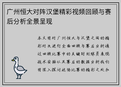 广州恒大对阵汉堡精彩视频回顾与赛后分析全景呈现